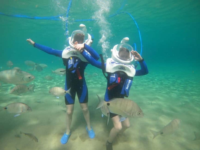 Tenerife: Underwater Walk - Sea Trek Experience - Practical Tips & Recommendations