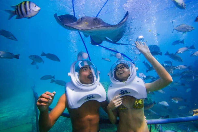 Tenerife: Underwater Walk - Sea Trek Experience - A Closer Look at the Tenerife Sea Trek Experience