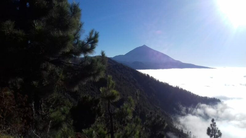 tenerife-wellness-experience-with-psychology-and-mindfulness-practices