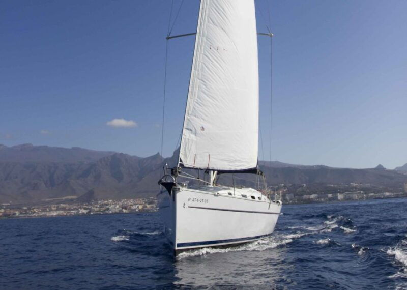 tenerife-whale-and-dolphin-watching-tour-by-sailboat