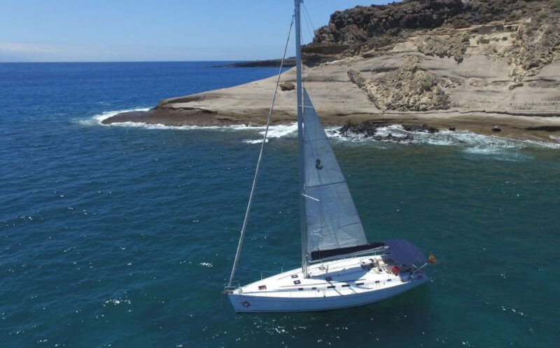 tenerife-whale-and-dolphin-watching-tour-by-sailboat