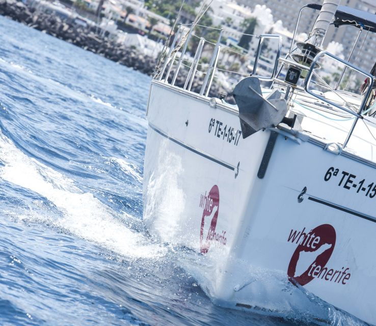 tenerife-whale-and-dolphin-watching-tour-by-sailboat