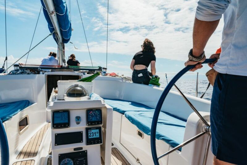 tenerife-whale-dolphin-watching-with-drinks-and-snacks