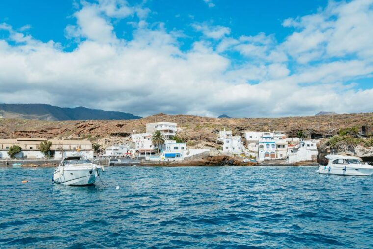 tenerife-whale-dolphin-watching-with-drinks-and-snacks