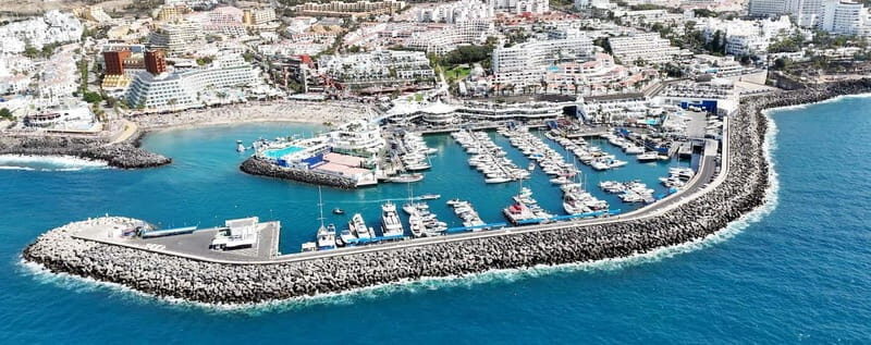Tenerife Whale Watching and Snorkeling Yacht Trip - FAQ