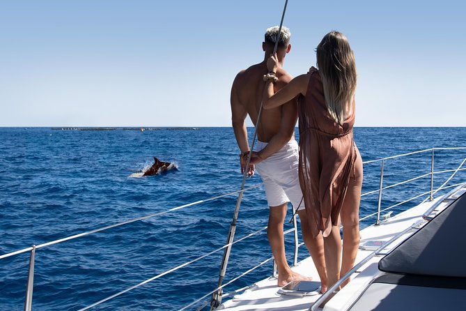 tenerife-whale-watching-on-private-charter-2