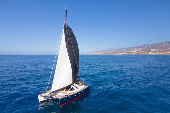 tenerife-whale-watching-on-private-charter-2