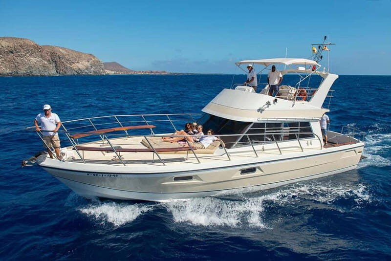 Tenerife: Whale watching tour with swim and lunch on yacht for 22 passengers - The Experience: What to Expect from Start to Finish
