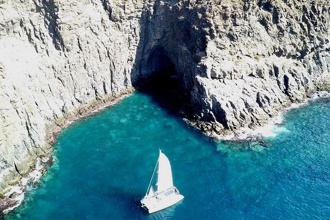 tenerife-whales-and-dolphins-watching-experience-in-catamaran