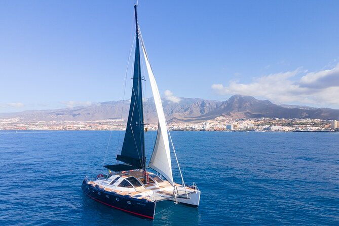 tenerife-whales-and-dolphins-watching-experience-in-catamaran