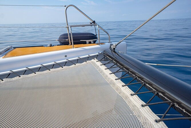 tenerife-whales-and-dolphins-watching-experience-in-catamaran