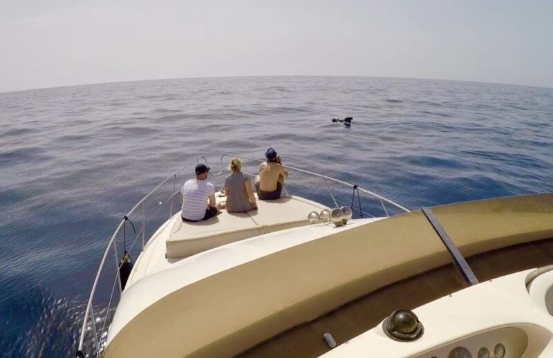 tenerife-whales-and-snorkeling-tour-on-a-luxury-yacht