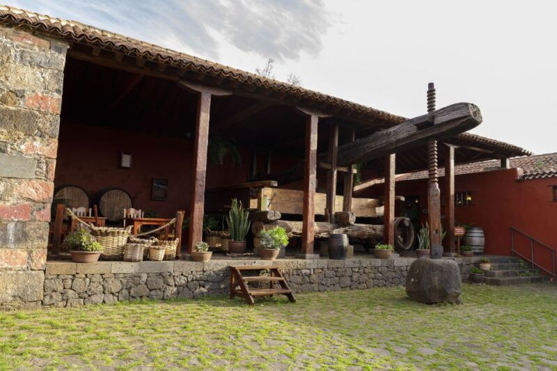 tenerife-wine-museum-ticket-with-local-wines-food-tasting