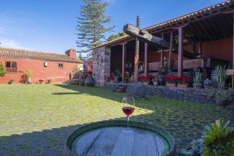 tenerife-wine-museum-ticket-with-local-wines-food-tasting
