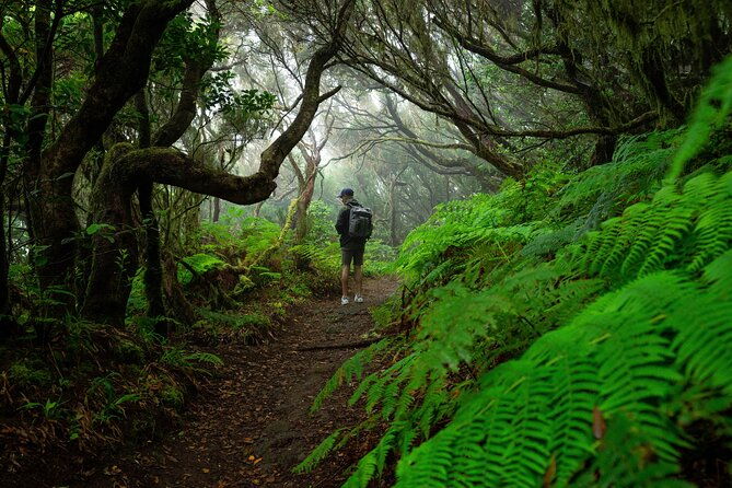 tenerife-wonder-walk-3