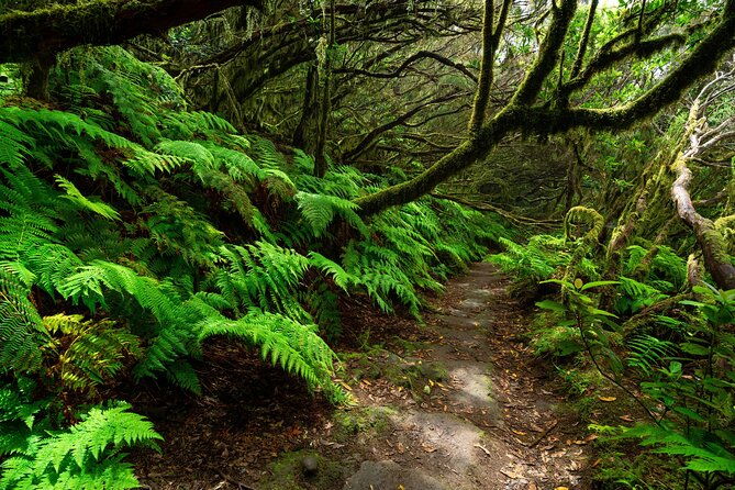 tenerife-wonder-walk-3