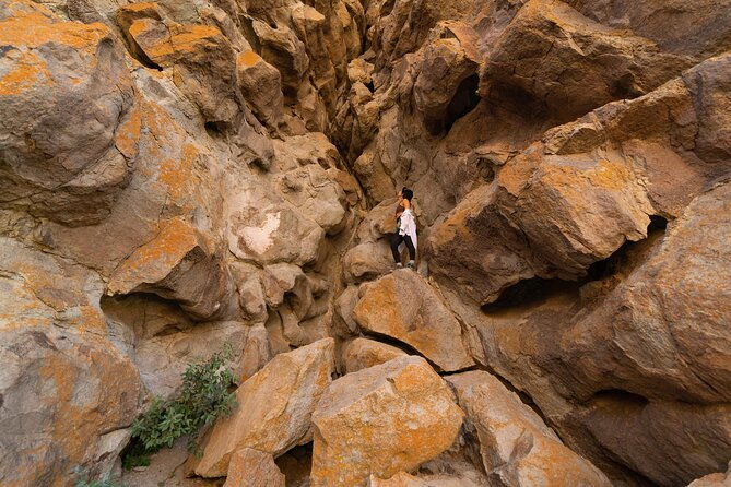 tenerife-wonder-walk-4