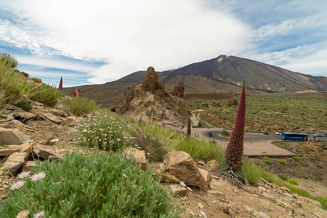 tenerife-wonder-walk