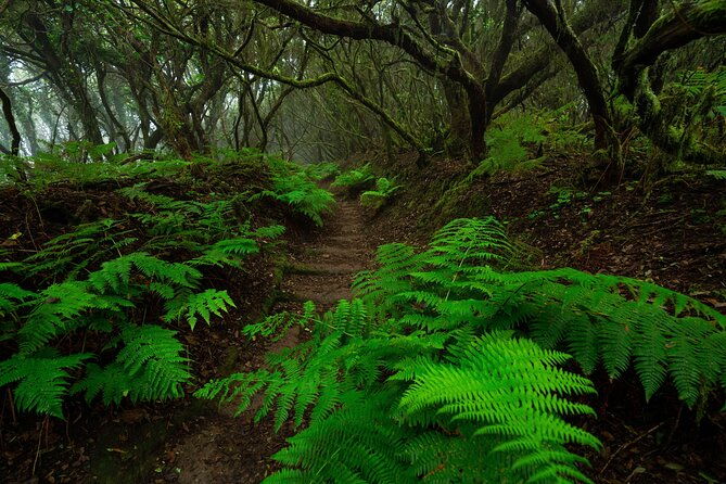 tenerife-wonder-walk