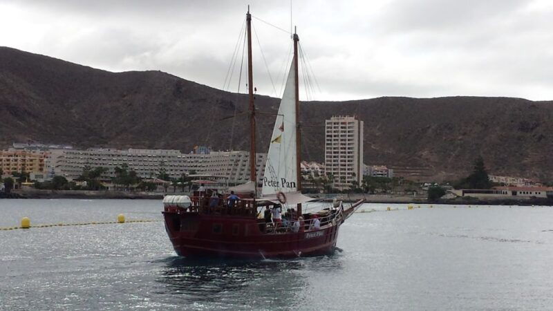 teneriferespectful-whale-watching-pirate-ship-swim