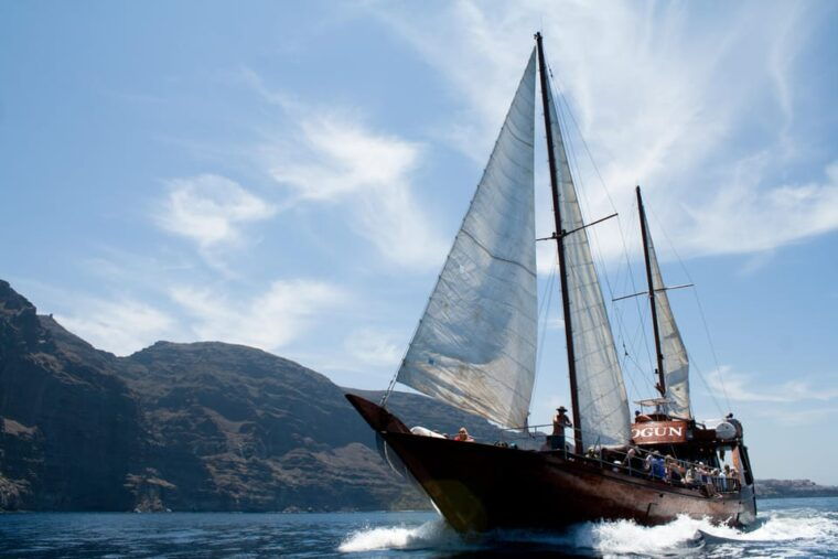 teneriferespectful-whale-watching-pirate-ship-swim