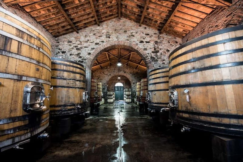 Tenimenti d'Alessandro - Visit the winery and wine tasting - A Closer Look at the Experience