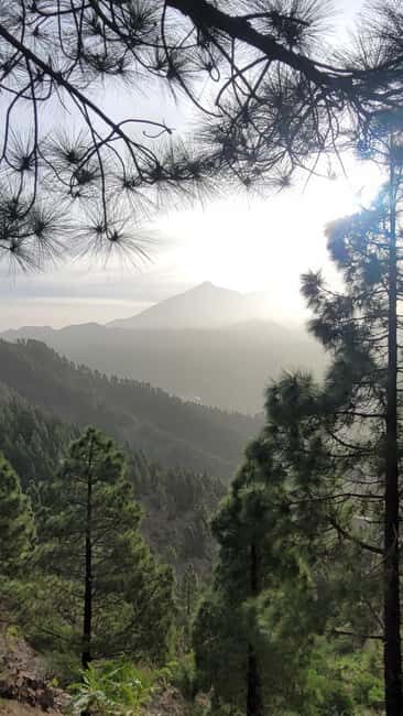 Teno: Circular hike from Erjos over the mountain ridge with views of Masca - Practical Details and Equipment