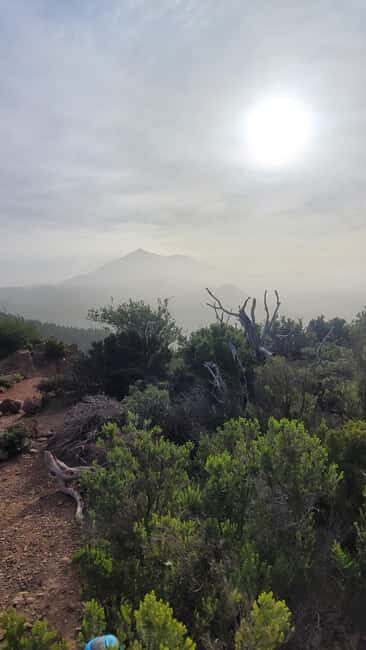 Teno: Circular hike from Erjos over the mountain ridge with views of Masca - The Sum Up