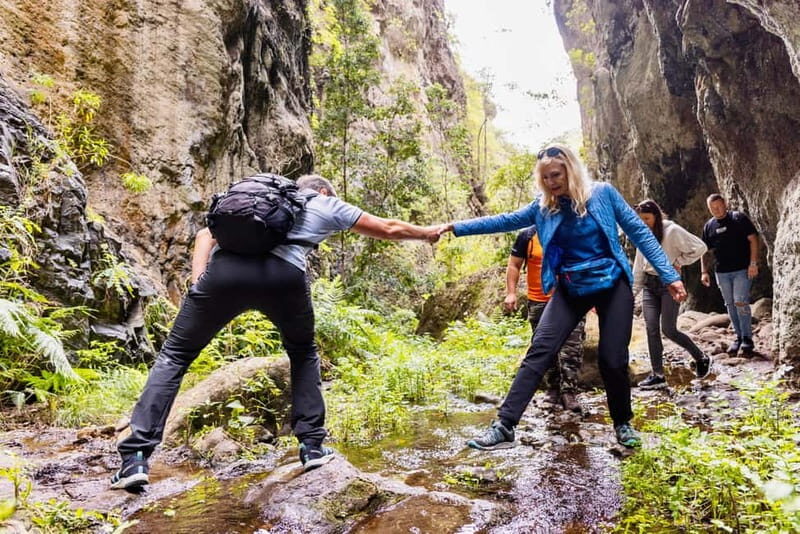 Teno Waterfalls and the Tropical Jungle of Tenerife - Exploring Tenerife’s Wild Side