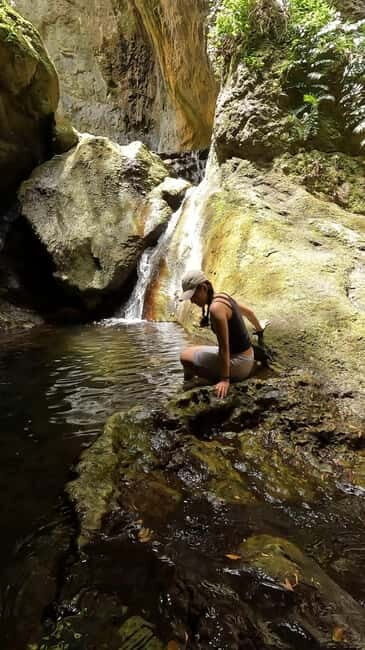 Teno Waterfalls and the Tropical Jungle of Tenerife - Practical Details and What’s Included