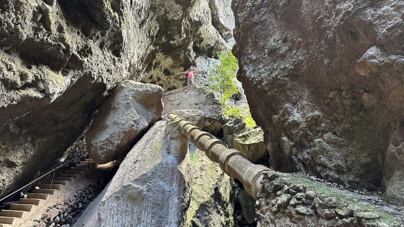 Teno Waterfalls and the Tropical Jungle of Tenerife - The Experience from the Traveler’s Perspective