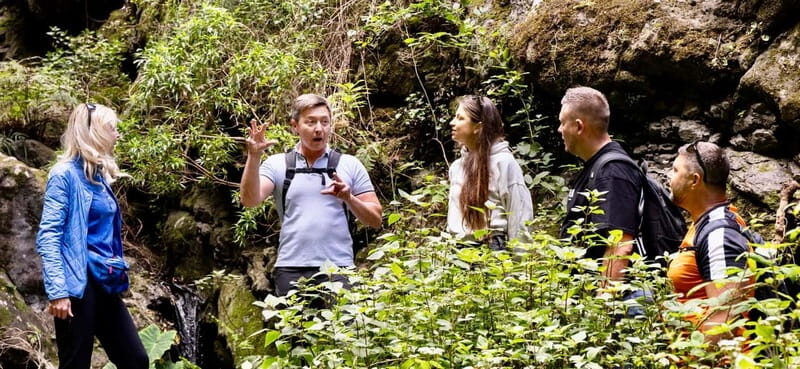 Teno Waterfalls and the Tropical Jungle of Tenerife - Final Thoughts