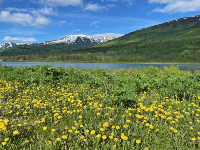 Tent city Anchorage and wonderful surroundings - Transportation and Group Size