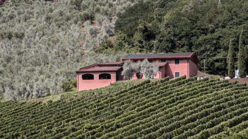 tenuta-adamo-private-wine-tour-and-tasting-with-antonio