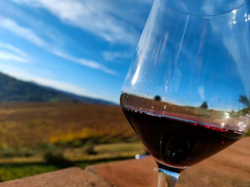 Tenuta Bonzara - Tour and wine tasting in the hills of Bologna - Who Would Love This Tour?