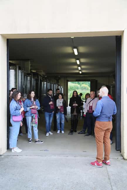 Tenuta Bonzara - Tour and wine tasting in the hills of Bologna - Final Thoughts