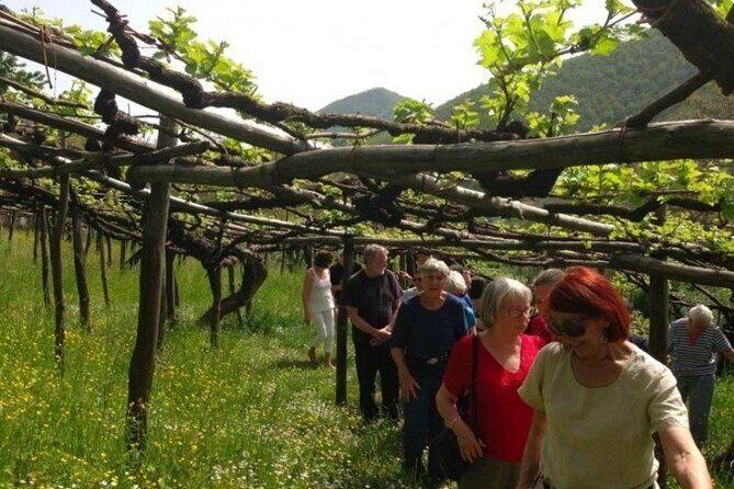 Tenuta San Francesco Wine Tasting - The Itinerary: What You Can Expect