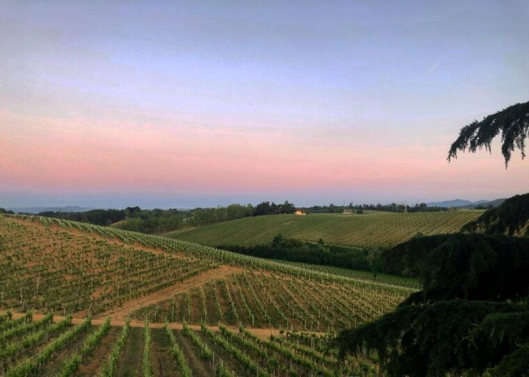 tenuta-san-lorenzo-classic-wine-tasting-and-winery-tour