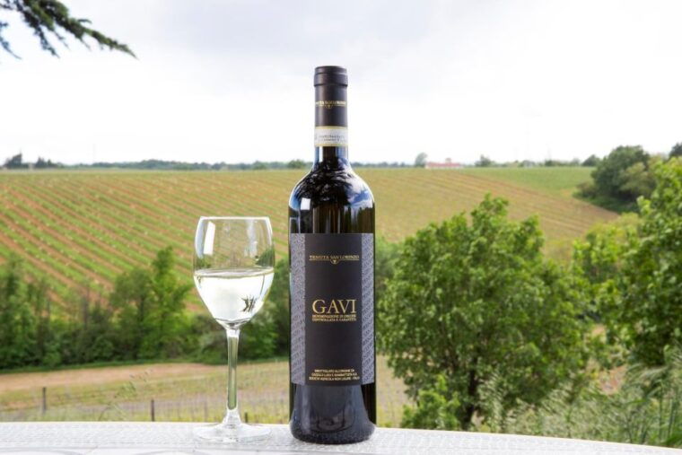 tenuta-san-lorenzo-classic-wine-tasting-and-winery-tour