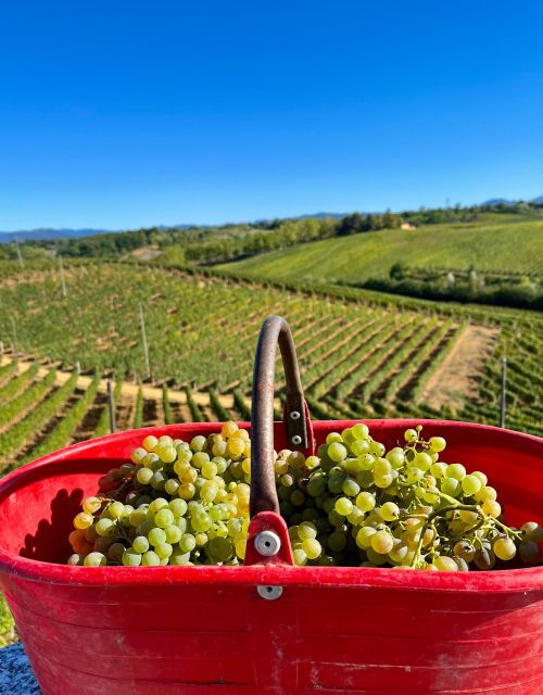 tenuta-san-lorenzo-wine-food-tasting-experience