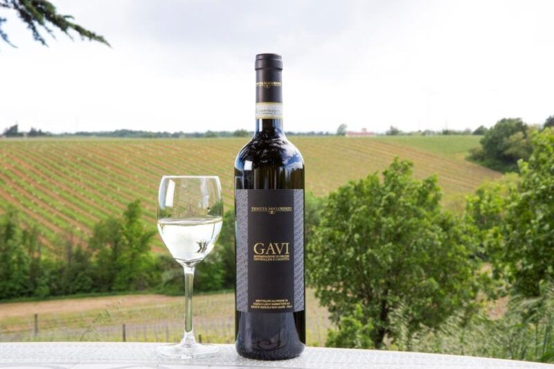 tenuta-san-lorenzo-wine-tasting-and-winery-tour