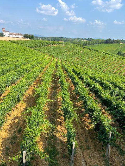 tenuta-san-lorenzo-wine-tasting-and-winery-tour
