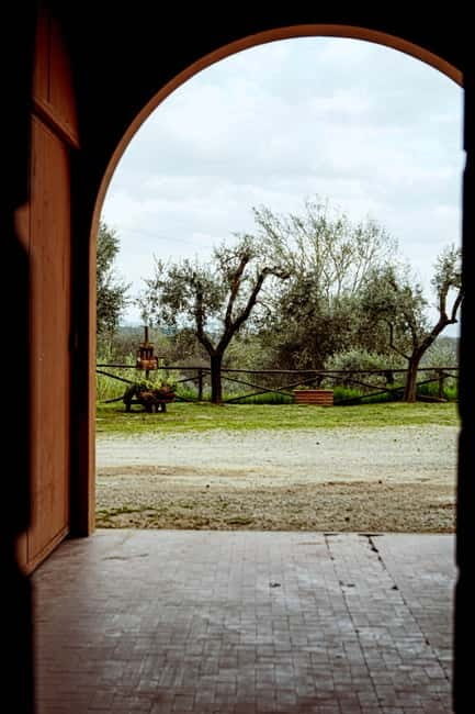 Tenuta San Vito: Organic Wine Tasting with Tuscan Cold Cuts - Key Points