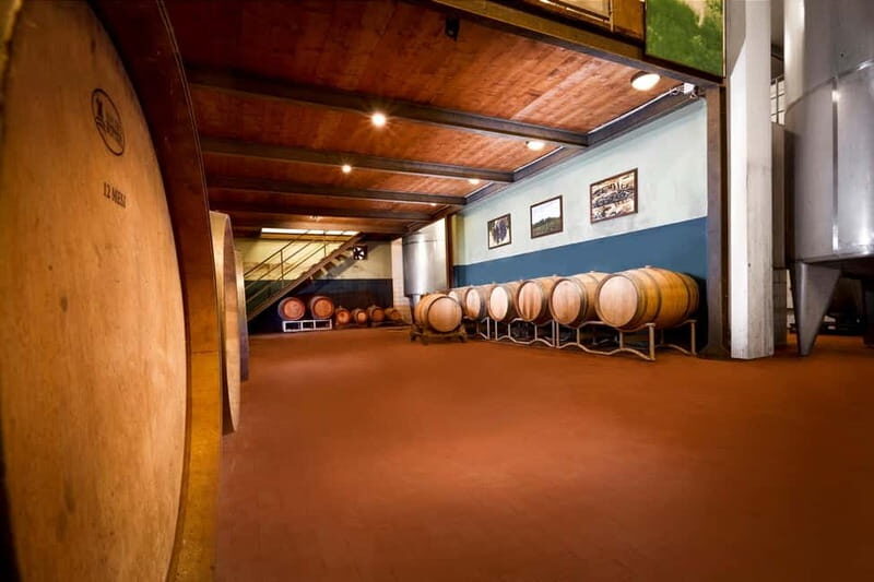 Tenuta San Vito: Organic Wine Tasting with Tuscan Cold Cuts - What You Can Expect at the Tasting