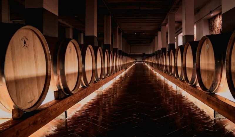Tenute Girolamo: Winery Tour and Deluxe Tasting in the Itria Valley - The Experience: A Closer Look