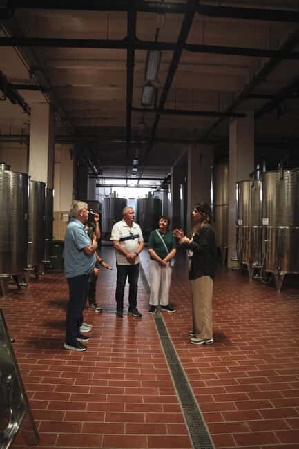 Tenute Girolamo: Winery tour and Premium Tasting in the Itria Valley - Who Should Consider This Experience?