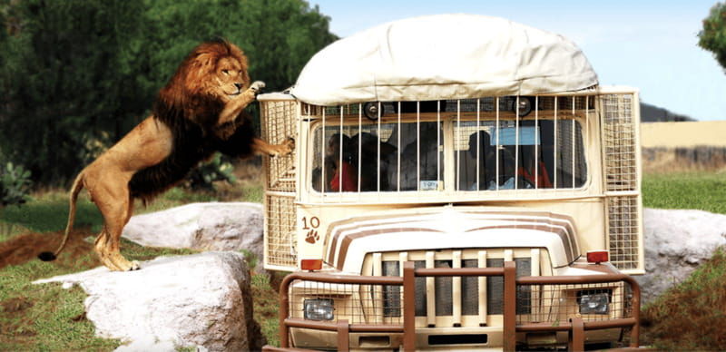 teotihuacan-entrance-to-animal-kingdom-park-adventure-nature