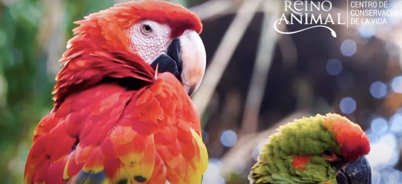 teotihuacan-entrance-to-animal-kingdom-park-adventure-nature