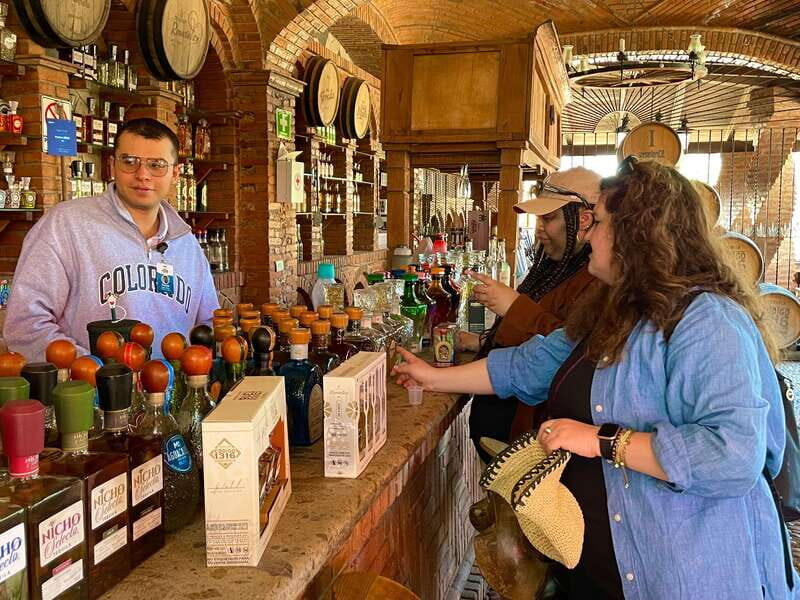 Tequila and Guachimontones: Private Full Day Tour - Final Thoughts