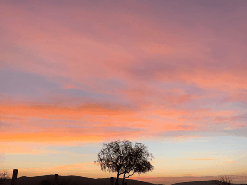 tequisquiapan-utv-adventure-tour-with-guide